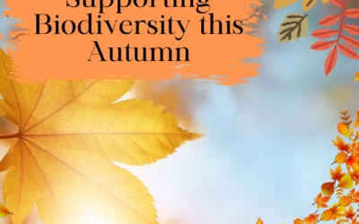 Supporting Biodiversity This Autumn