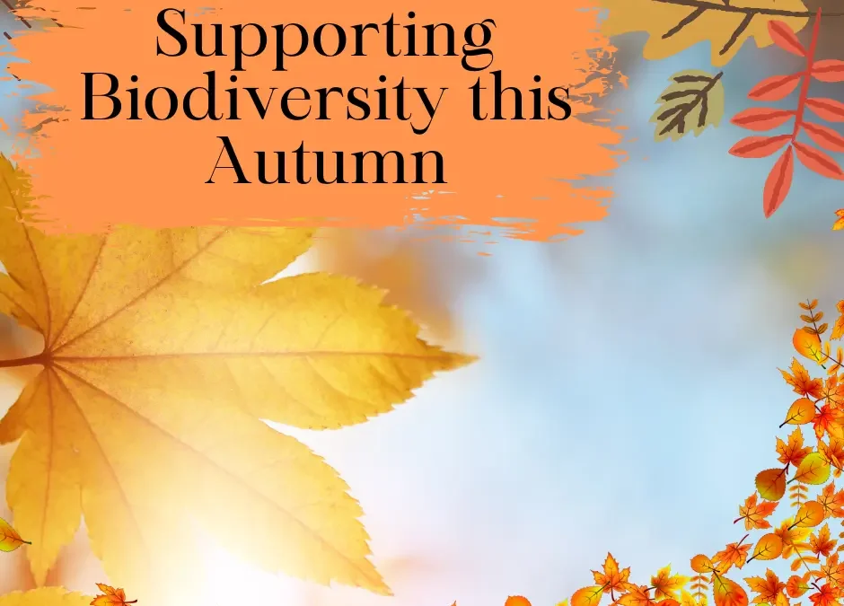 Supporting Biodiversity This Autumn