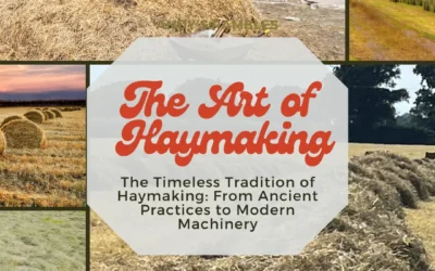 The Timeless Tradition of Haymaking: From Ancient Practices to Modern Machinery