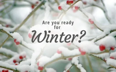 Preparing Your Home and Garden for Winter